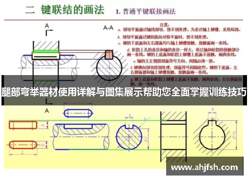 腿部弯举器材使用详解与图集展示帮助您全面掌握训练技巧
