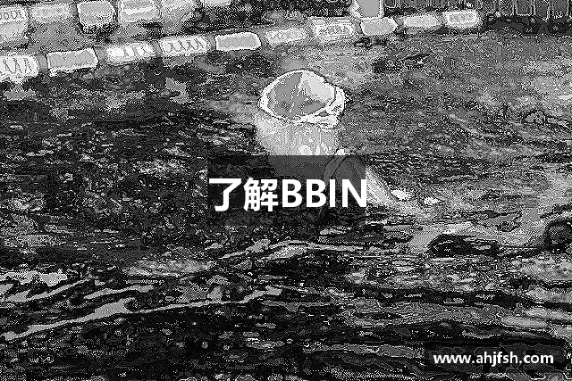 了解BBIN